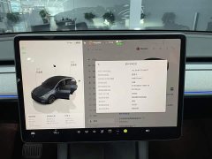 Tesla Model Y rear-wheel drive version - фото 14