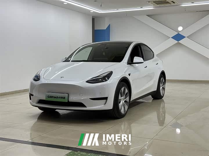 Tesla Model Y rear-wheel drive version - автомобиль из Китая