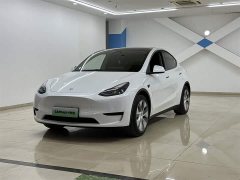 Tesla Model Y rear-wheel drive version - фото 1