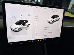 Tesla Model Y rear-wheel drive version - фото 11