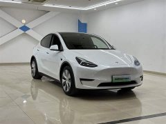 Tesla Model Y rear-wheel drive version - фото 2