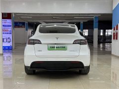 Tesla Model Y rear-wheel drive version - фото 5