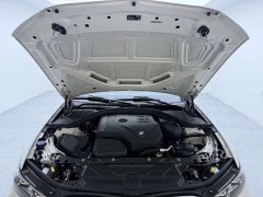BMW 3 Series 320Li M Sport Package - фото 17