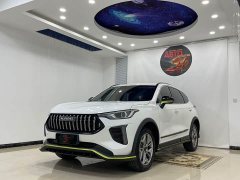Haval Red Rabbit Exclusive Edition 1.5T Brass Rabbit - фото 1