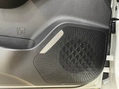 Haval Red Rabbit Exclusive Edition 1.5T Brass Rabbit - фото 13
