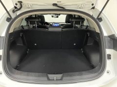 Haval Red Rabbit Exclusive Edition 1.5T Brass Rabbit - фото 18