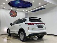 Haval Red Rabbit Exclusive Edition 1.5T Brass Rabbit - фото 19