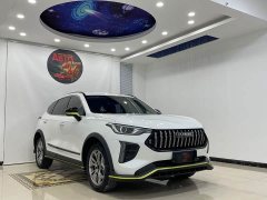 Haval Red Rabbit Exclusive Edition 1.5T Brass Rabbit - фото 3
