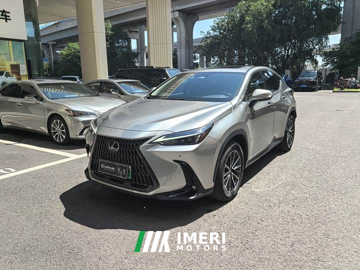 Lexus NX New Energy 400h Changyue Edition