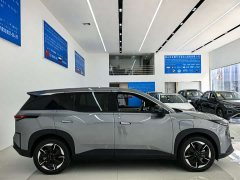 Lynk & Co Platinum 3X 520 Pro - фото 3
