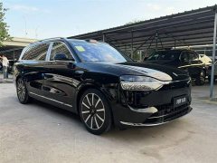 AITO Wenjie M9 2025 extended range Max version 52kWh 5-seater version (896-line lidar) - фото 3