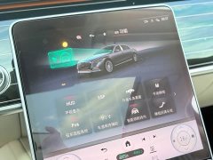 Maybach S-Class 2021 S 480 4MATIC - фото 16