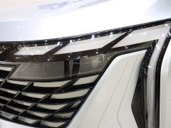Geely Boyue L 2023 2.0TD DCT flagship - фото 7