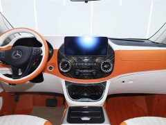 Mercedes-Benz Vito 2.0T Business Edition 7 seats - фото 14