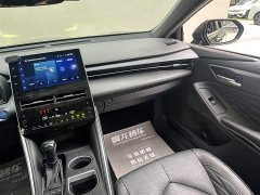 BYD Asia Dragon 2022 Shuangqing 2.5L XLE Premium Edition - фото 11