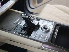 Tank 500 3.0T Business Edition Landscape Type 5 Seats - фото 15