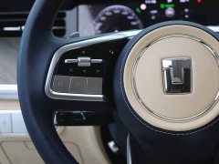 Tank 500 3.0T Business Edition Landscape Type 5 Seats - фото 17