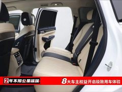 Tank 500 3.0T Business Edition Landscape Type 5 Seats - фото 6