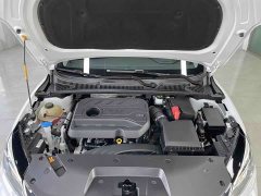 Lexus Binrui 2021 1.4T CVT Asian Games Edition - фото 14