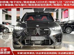 BMW X5 M 2023 X5 M Thunder Edition - фото 2