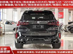 BMW X5 M 2023 X5 M Thunder Edition - фото 3