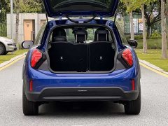 MINI 2025 2.0T COOPER S Artist Five-Door Edition - фото 5