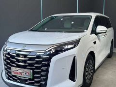 Lynk & Co Summer DM-i 1.5T 100km transcendent type - фото 1