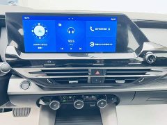 Lexus Versailles C5 X 1.6T overseas version - фото 14