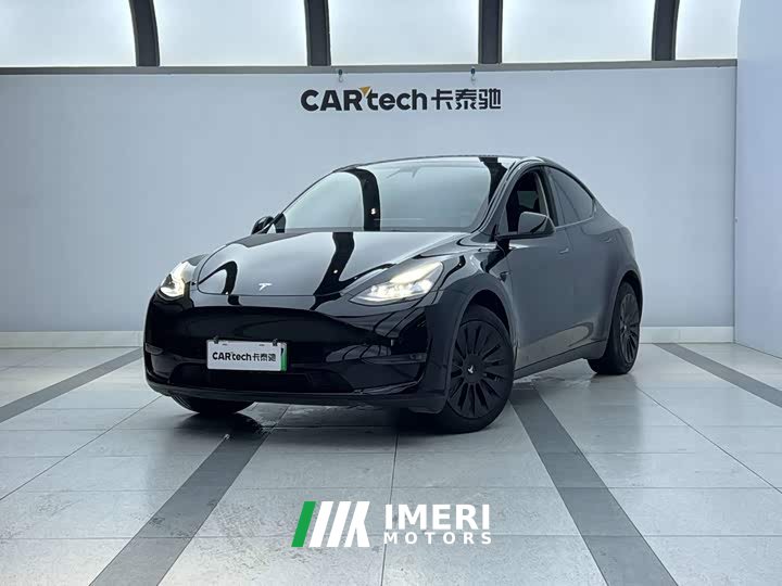 Tesla Model Y long-range all-wheel drive version - автомобиль из Китая