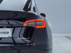 Tesla Model Y long-range all-wheel drive version - фото 11