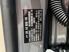 BMW Ledo L90 Max six-seater version - фото 7