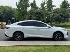 BYD Qin L DM-i 120KM Leading Edition - фото 8