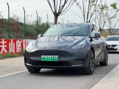 Tesla Model Y rear-wheel drive version - фото 1