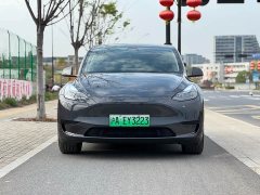 Tesla Model Y rear-wheel drive version - фото 2