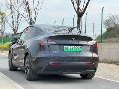 Tesla Model Y rear-wheel drive version - фото 4