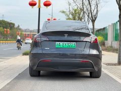 Tesla Model Y rear-wheel drive version - фото 5
