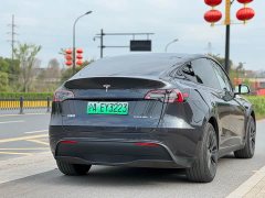 Tesla Model Y rear-wheel drive version - фото 6