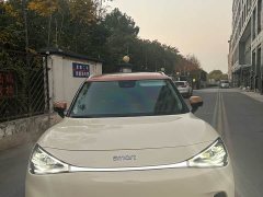 smart Elf #1 Premium Edition - фото 2