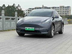 Tesla Model Y long-range all-wheel drive version 3D7 - фото 1