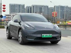 Tesla Model Y long-range all-wheel drive version 3D7 - фото 3