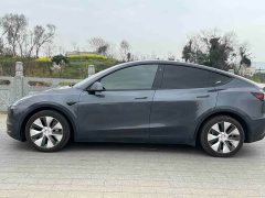 Tesla Model Y long-range all-wheel drive version 3D7 - фото 4