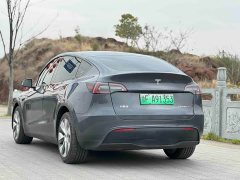 Tesla Model Y long-range all-wheel drive version 3D7 - фото 5