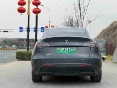 Tesla Model Y long-range all-wheel drive version 3D7 - фото 6