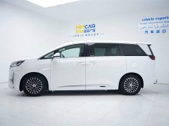 Denza D9 DM-i 970 four-wheel drive flagship - фото 11