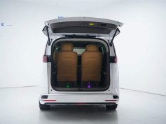 Denza D9 DM-i 970 four-wheel drive flagship - фото 16