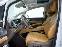 Denza D9 DM-i 970 four-wheel drive flagship - фото 6