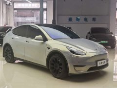 Tesla Model Y long-range all-wheel drive version - фото 3