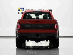 Ford F-150 Raptor 2023 3.5T Raptor - фото 20