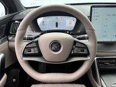 Lexus Tangxin Energy smart driving version DM-i 115KM flagship - фото 9