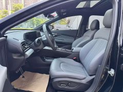 Trumpchi Shadow Leopard 270T DCT Shadow Leopard R-Style Exclusive Edition - фото 14